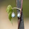 Rhodium Plated Pear Shape Larimar Earrings from Miles Beamon Jewelry - Miles Beamon Jewelry