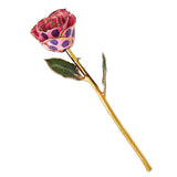 Gold Trim Pink And Purple Dots Rose from Miles Beamon Jewelry - Miles Beamon Jewelry