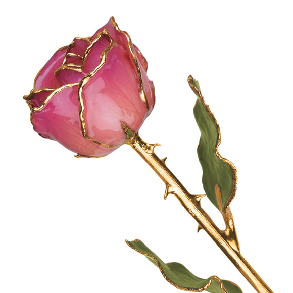 Gold Trim Pink Picasso Rose from Miles Beamon Jewelry - Miles Beamon Jewelry