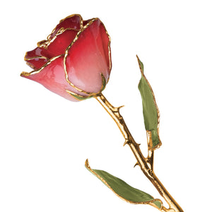 Gold Trim Pink And Burgundy Rose from Miles Beamon Jewelry - Miles Beamon Jewelry