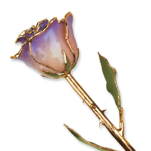 Gold Trim White And Blue Opal Rose from Miles Beamon Jewelry - Miles Beamon Jewelry