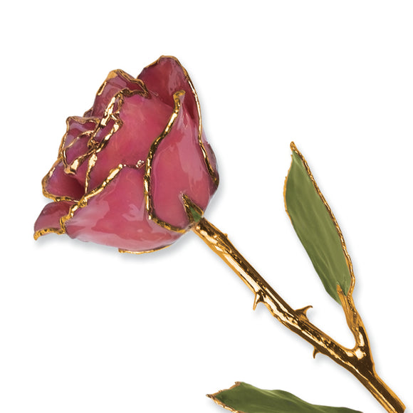 Gold Trim Dusty Pink Rose from Miles Beamon Jewelry - Miles Beamon Jewelry