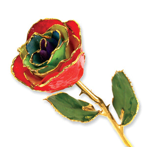 Gold Trim Gypsy Rainbow Rose from Miles Beamon Jewelry - Miles Beamon Jewelry