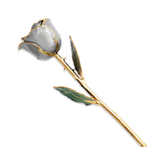 Gold Trimmed Silver Moon Stone Rose from Miles Beamon Jewelry - Miles Beamon Jewelry