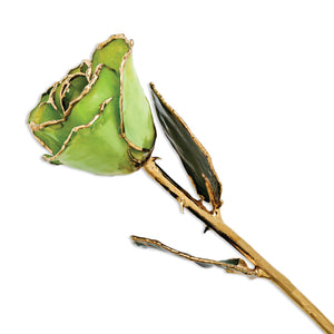 Gold Trimmed Peridot/Topaz Rose from Miles Beamon Jewelry - Miles Beamon Jewelry