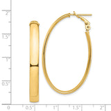 14k Yellow Gold Oval Omega Back Hoop Earrings